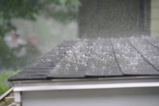 Best Hot Roofs  in Wilson, NC