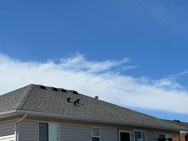 Steel Roofing in Wilson, NC